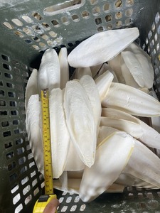 Os de seiche séché/os de seiche/Ms. Lily - Product Image 6