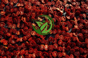 Tomates secos al sol de primera calidad, vegetales orgánicos de Egipto - Product Image 5