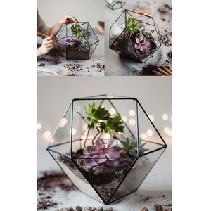Best Quality Vintage Collection Clear <b>Glass</b> <b>Terrarium</b> Black Finished Iron Frame Geometric Shape for Garden & Office Decorations - Product Image 6