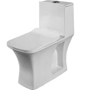 ห้องน้ำดีไซน์แบบหนึ่งชิ้นทำจากเซรามิกทนทานพร้อมพื้นผิวเคลือบและระบบสองด้านผู้ผลิตอินเดีย - Product Image 2