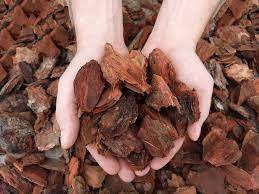 Écorce de pin Paillis biologique Aménagement paysager Pavé Écorce de pin Extrait d'écorce de pin séchée - Product Image 3