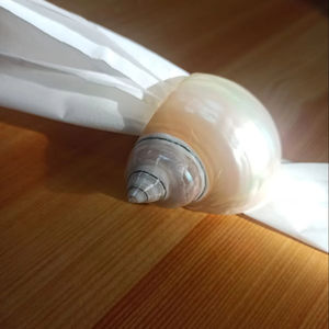 Impresionante Anillo para Servilletas de Vietnam, Soporte para Servilletas con Diseño de Caracol y Concha Marina para Decoración de Apartamentos de Lujo y Diseño de Interiores - Product Image 1