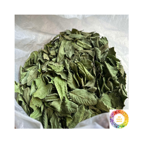 Thé en feuilles de goyave de qualité supérieure Infusion naturelle aux herbes Approvisionnement en gros en vrac Emballage personnalisé Mélange de feuilles de goyave séchées pour la consommation quotidienne - Product Image 3