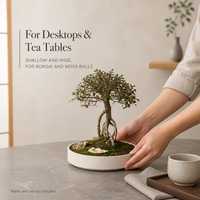 Pot à Bonsaï en Céramique Peu Profond, Large et Rond, à Surface Rugueuse, avec Trou de Drainage pour Boule de Mousse, Décoration de Bureau et Maison