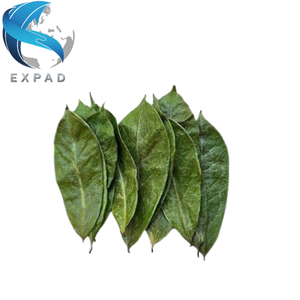 Compre Hojas de Guanábana secas para preparar té de hierbas nutritivo y refrescante a su conveniencia - Product Image 1