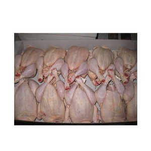 ไก่แช่แข็งทั้งตัว ฮาลาล คุณภาพสูง ราคาส่งถูก |   ไก่แช่แข็งทั้งตัวและเป็นชิ้นๆ ขาย - Product Image 6