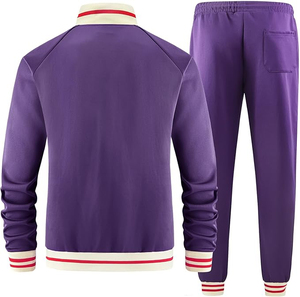 Ropa deportiva con logotipo personalizado de calidad superior para hombre Conjunto de pantalones de chándal con capucha de dos piezas profesional Patrón sólido para invierno - Product Image 5