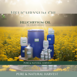 Huile de fleur d'hélichryse Huile essentielle pure Approvisionnement en gros Exportateurs mondiaux Importateurs Grade commercial professionnel OEM/ODM - Product Image 6