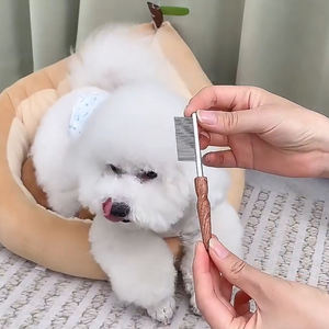 Peigne de toilettage de chien Simple professionnel manche en bois de Rose dents de fer peigne de puces et de perte écologique Durable - Product Image 2