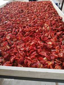 Tomates séchées au soleil de haute qualité d'Égypte - Product Image 3