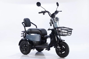 Tricycle moto à trois roues pour passagers, 600W 48V, cadre en acier à haute teneur en carbone, frein à tambour, vitesse unique, mini-voiture pour personnes âgées, en stock - Product Image 2