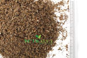 Raíces de ruibarbo naturales tamizadas para extractos herbales - Product Image 3