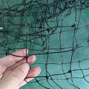 <span class=keywords><strong>Filet</strong></span> de sécurité pour <span class=keywords><strong>chat</strong></span> de balcon <span class=keywords><strong>Filet</strong></span> de protection pour fenêtre en HDPE anti-UV 3x4m/3x6m/3x8m - Product Image 5