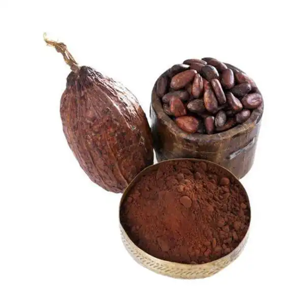 Высококачественные какао-бобы, какао-порошок из Африки