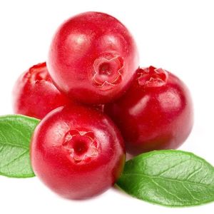 ผลแครนเบอร์รี่ 950 กก. ขายส่ง ความสุก 85%-95% ขนาด 10-20 มม. เกรด แครนเบอร์รี่สด แหล่งผลิตสหราชอาณาจักร - Product Image 1