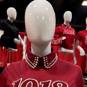 T-shirt brodé en chenille à manches 1913 DST Vêtements de sororité marron en coton de qualité supérieure Vêtements Delta grec T-shirt classique - Product Image 5