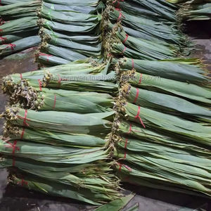 100% feuilles de bambou séchées au soleil naturelles grande taille 9cm + prix compétitif direct Vietnam HNIECO marque 12 mois durée de conservation pour gâteau - Product Image 1