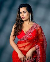 Saree en soie pakistanaise traditionnelle avec une belle bordure de travail coupée en fil pour les fêtes de mariage Numéro de modèle Fantaisie Georgette Saree.