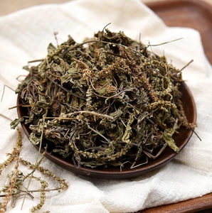 Plantago Major Seco a Granel, Planta Entera, Materia Prima Herbal Procesada y Limpia para Compradores Internacionales - Product Image 2