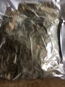 Feuilles de corossol (graviola) de qualité d'exportation, avec une forme de feuille intacte et une sécheresse uniforme, pour les acheteurs internationaux - Product Image 5