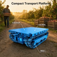 Plataforma de Transporte Hidráulica Pequeña con Control Remoto, Bajo Ruido, para Logística de Huertos y Granjas, Personalizable OEM