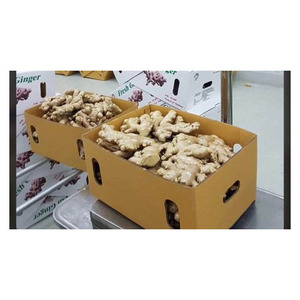 รากขิงสดในอัตราขายส่งสำหรับโปรเซสเซอร์เครื่องเทศและผู้จัดจำหน่าย - Product Image 3