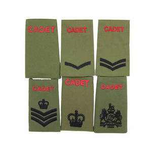 Técnico de municiones RLC Royal Logistic Corps Multicam Rank Slides Royal Logistics Corps RLC Rank Slides/Charretera Par - Product Image 3