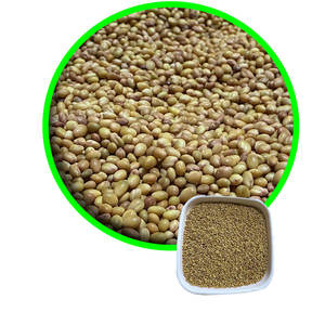 Trèfle Berseem | Pas d'additifs ni de produits chimiques nocifs - Product Image 2