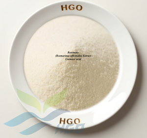 Suministro directo de fábrica de HGO extracto de romero natural puro (Rosmarinus officinalis) ácido carnósico 95% (extracto estandarizado) - Product Image 1