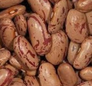 Frijoles Pintos naturales secos a granel Frijoles de riñón moteados ligeros Frijoles Pintos de azúcar - Product Image 6