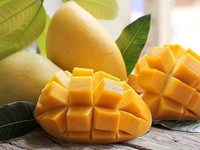 Goedkoopste Prijs Verse Mango Rijp Of Jong Mango Groen Of Geel Organe Mango Vers Fruit Tropisch Fruit