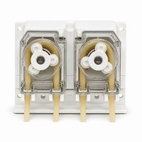 Pompe péristaltique G10-2J+PT15 (aluminium + acier inoxydable) pour analyseur de qualité de l'eau du condenseur CEMS |   Pompe doseuse de laboratoire