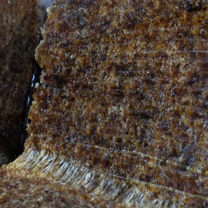 Caucho vietnamita SVR 20 Caucho de grado técnico para aplicaciones de moldeo industrial a largo plazo Rendimiento estable - Product Image 1