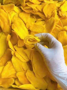 Mangue séchée en vrac de qualité supérieure exportateur en gros mangue déshydratée naturelle 100% fruits sucrés goût délicieux approvisionnement de haute qualité - Product Image 2