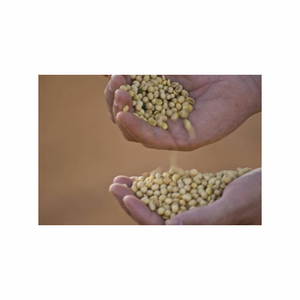 Venta a granel de alta proteína de harina de soja fresca con toda la grasa Frijoles de proteína animal para pollos de la línea de producción - Product Image 4