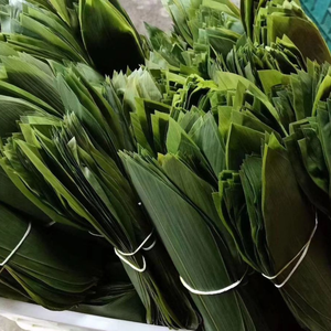 Feuilles de bambou de haute qualité pour des recettes saines et traditionnelles - Product Image 2