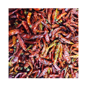 Chile seco entero Origen de Vietnam Chile secado al sol Pimiento rojo Embalaje a granel Chile seco picante para la industria de procesamiento de alimentos de exportación - Product Image 3