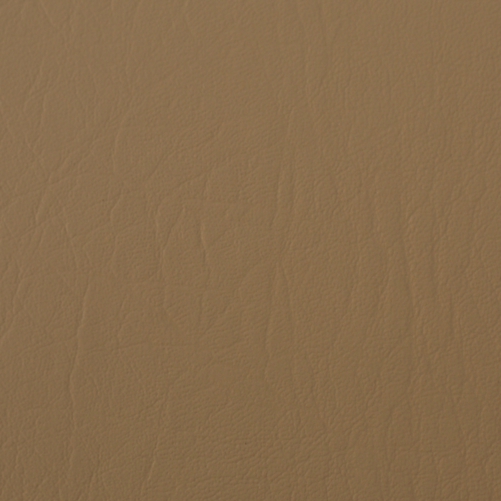 DUNE DE SABLE 07