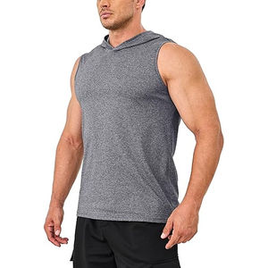 Haute qualité 100% coton Terry poids lourd épais pull hommes Style décontracté sans manches à capuche personnalisable impression sweats à capuche vierges - Product Image 2