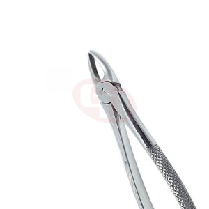 Fórceps de extracción dental resistentes al óxido con puntas dentadas finas Fórceps de extracción dental - Product Image 6