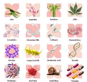 Mélange de foie à base de plantes italiennes avec vitamine C pour la routine de bien-être OEM/ODM disponible - Product Image 5