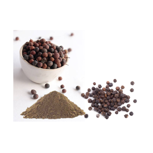 Extracto de Vayu Vidang en Polvo Seco (10:1), Suplemento Herbal Estandarizado para Apoyar la Salud Natural, la Digestión, la Inmunidad y el Bienestar - Product Image 2