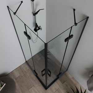 Box Doccia Senza Telaio 70x100 con Porta a Doppia Cerniera, Design Leone Nero Opaco, Set Bagno - Product Image 3