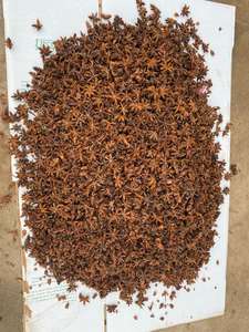 Vente en gros d'épices d'anis étoilés séchés pour printemps et automne graines d'anis étoilé en forme de fleur pour assaisonnements - Product Image 6