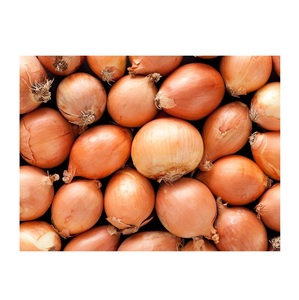 Cheap Price Bulk Sale Top Quality <b>Fresh</b> <b>Onion</b> In Bulk Cheap Red/Yellow <b>Onions</b> For Sale wholesale sale From German Supplier - Product Image 6
