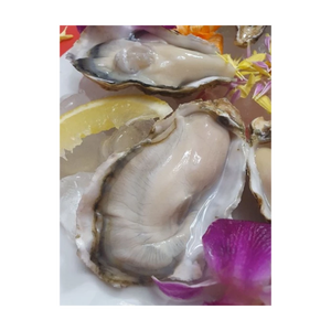 Huîtres kaki de qualité supérieure, élevées en ferme, avec coquille, pour les acheteurs en gros et livraison rapide - Product Image 4