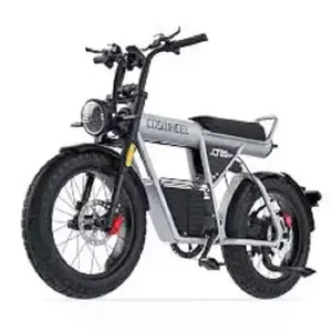 Bicicleta Eléctrica Plegable COSWHEEL CT20 con Motor de 750W, Amortiguación Hidráulica y Batería de Litio de 48V - Product Image 2