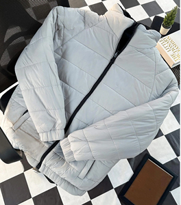 Winter Clothing Outdoor Hiking Bomber Jackets Windbreaker Brushed Hoodie Collar Zipper Sports Mountaineering <b>Men</b> Puffer Jackets - Product Image 2