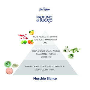 Blu Home 250ml Désodorisant Musc Blanc Frais et Pur, Spray Parfumé, Diffuseur de Parfum pour Chambre et Parfumation des Tissus - Product Image 2