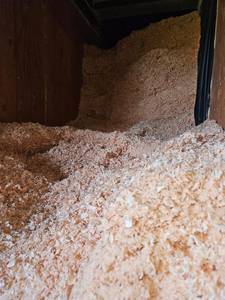 Baled Natural Wood Shavings Organic Matter for <b>Bird</b> <b>Bath</b> Reptile Terrarium <b>Small</b> Animal Habitat - Product Image 2